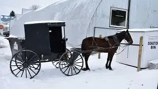 Amish Buggies  | Turn Your TV/PC Into Art | No Audio | 1 Hr | 10 min pics | Holmes County OH