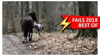 Best of FAILS & OUTTAKES 2018