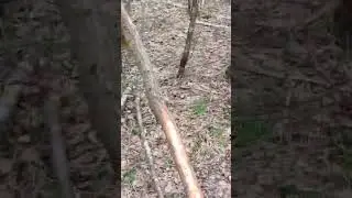 завалился на мотике в скользкой колее