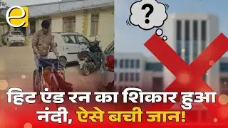 लहूलुहान सड़क पर तड़प रहा था नंदी बैल, घायल नंदी का सफल रेस्क्यू | Dharamshala News
