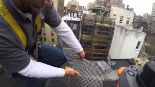 Leading New York City & New Jersey Bird Remediation: Landmark Bird Control Episode 1