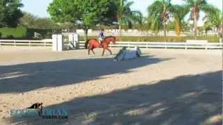 Peter Plecher Shows How to Ride a Handy Hunter Course