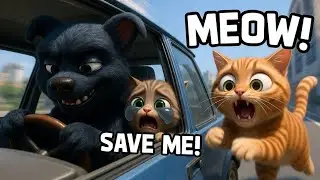 Mom Cat Save Kitten From Dog Animal Catcher 