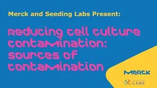 Reducing Cell Culture Contamination: Sources of Contamination