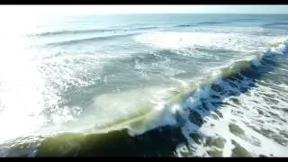 Surfing the Poles - Jacksonville, FL