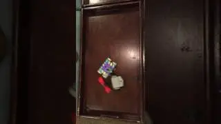 Battlebots Hex Bug Tombstone v. Witch Doctor