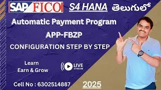 Automatic Payment Program (APP) Configuration in SAP FICO