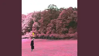 NPC