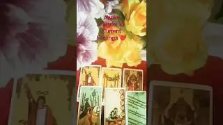 Aapke Partner Ki Current Feelings ❤️#shorts#tarot#currentfeelings#lovereading