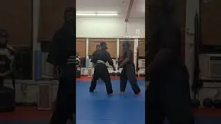 #knife #move #selfdefense #sanucesryu #knifetechnique