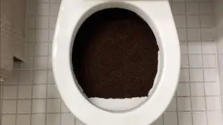 Will it Flush? - Coffee