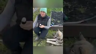 This is how I wash greenhouses