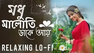 Modhu Maloti Daake Aaay 🖤 | Slowed & Reverb |মধু মালতী ডাকে আয়। Heart Touching Bengali Version