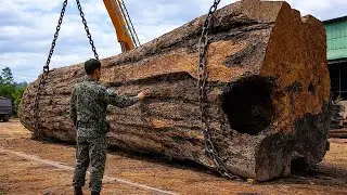 This Guy Built His House On The Trunk Of A Centuries-old Tree.