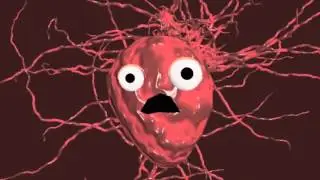 A Breathtaking Journey: one oxygen atom's journey through the body