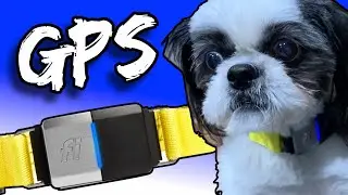 UNBELIEVABLE Battery Life - Fi GPS Tracker