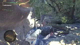 Another Ancient Wyvern Coin location at the Grand Hub (Monster Hunter Wilds)