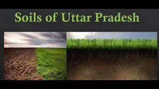 Soil of uttar pradesh for pcs 2024