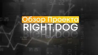 RIGHT.DOG &mdash; PRESALE 22.12.2021 // Pancakeswap listing // Успей Купить По Выгодной Цене