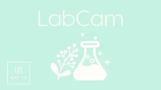 Mayen LabCam: formulating a custom foundation