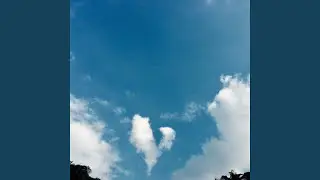 Lament of the Sky