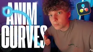 Как использовать ANIM CURVES | DaVinci Resolve