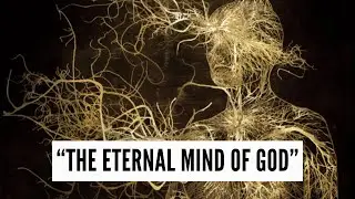 Where Does Consciousness Exist? - INSIDE THE ETERNAL MIND OF GOD