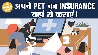Pet Insurance:अपने pet का करा सकते हैं बीमा, खरीदने से पहले जानें यह बातें | Insurance | PaisaLive
