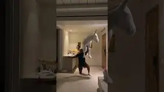 #funnyprank #funnypranks #prankvideo #pranksvideos #scarepranks #funnyvideos #snakeprank #funnyprank