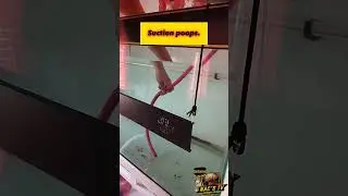 Причина, по которой хранитель #арованы обычно сидит дома.