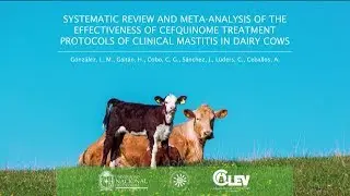 Effectiveness of cefquinome treatment protocols of clinical mastitis