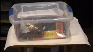 Ball Python Complete Setup Instructional Video