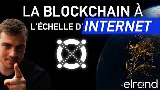 Elrond [Token $eGLD] La Blockchain &agrave; l'&eacute;chelle d'internet