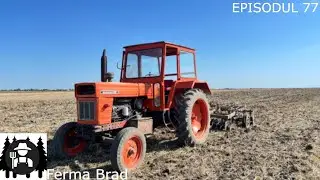 Tocăm bețele de floarea-soarelui( Cu 2 utb650)