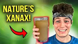 I Drank Kava for Stress Relief and This Happened... | Educational Review