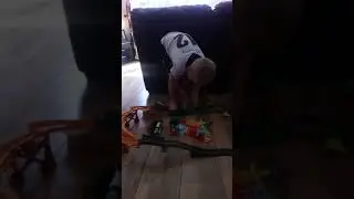 Crash Test Choochoos!
