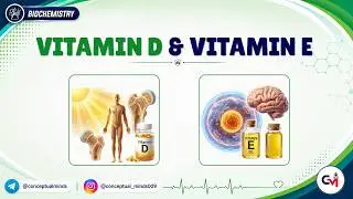 2. Witamina D i witamina E 🧬☀️🛡️ | Funkcje, niedob&oacute;r i korelacje kliniczne | Biochemia MBBS