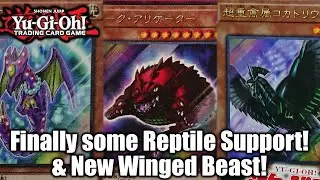 NEW REPTILE CARDS & WINGED BEAST MONSTER REVEALED! Yu-Gi-Oh!