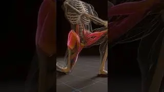 Release hip stiffness with this home workout, do this daily.