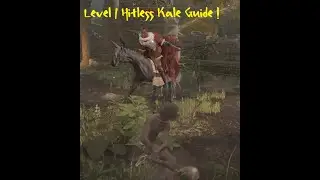 Lv1 Melee, no shield, no ash HITLESS Guide - Kale