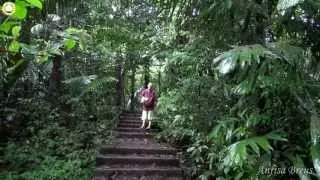 Вблизи водопада Ti Lo Su. Umphang. Thailand. 136
