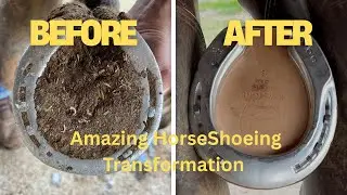 ASMR HORSE HOOF TRANSFORMATION 