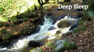 Deep Sleep &bull; Soft Piano &bull; River Forest & Birds &bull; Calm & Meditation