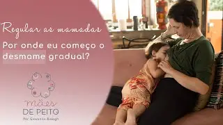 Regular as mamadas. Como fazer o desmame gradual?