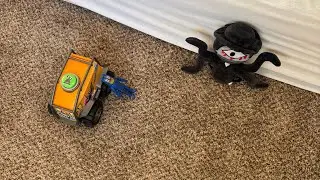Experiment Transport Safety 