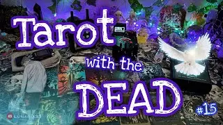 🌊 Мне пришлось броситься за ним 👼🏻 | #tarotwiththedead