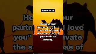 The Science of Love: How Attraction and Chemistry Really Work! 🧠💘