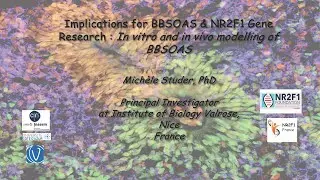 Implications for NR2F1/BBSOAS Gene Research by Dr. Mich&egrave;le Studer