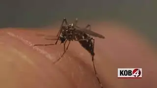 NMDOH confirms first human West Nile infections of 2023
