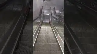 Delhi Metro Station #morningmotivation #delhicapitals #kashmirigate #wifeline #nationalcapital